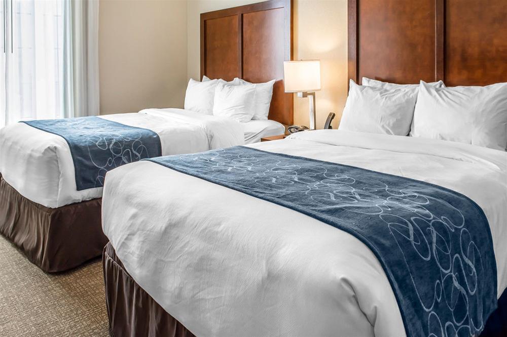 Comfort Suites Near Potomac Mills Woodbridge Extérieur photo